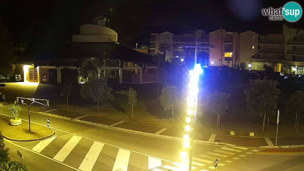 Camera en vivo Rosolina mare