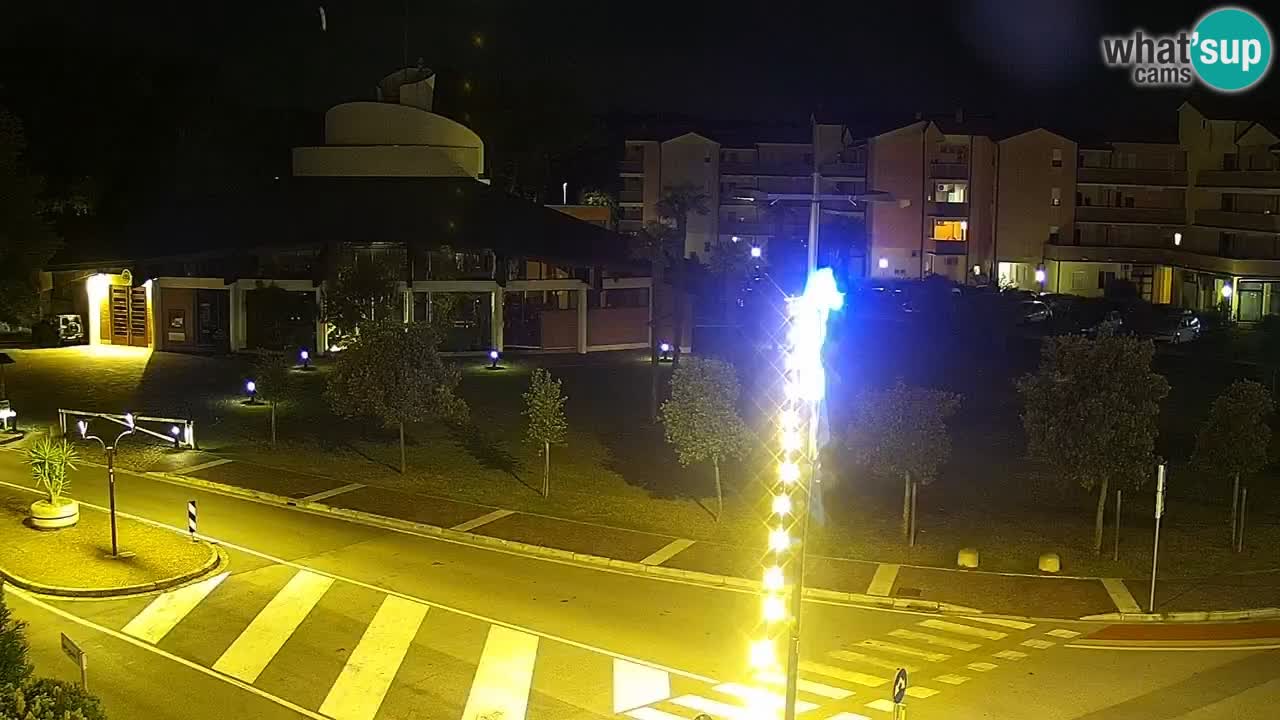 Camera en vivo Rosolina mare