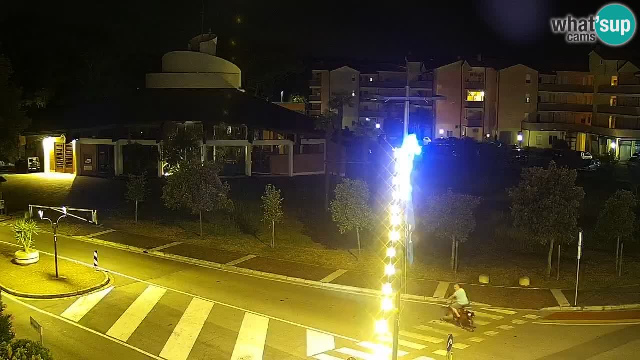 Camera en vivo Rosolina mare