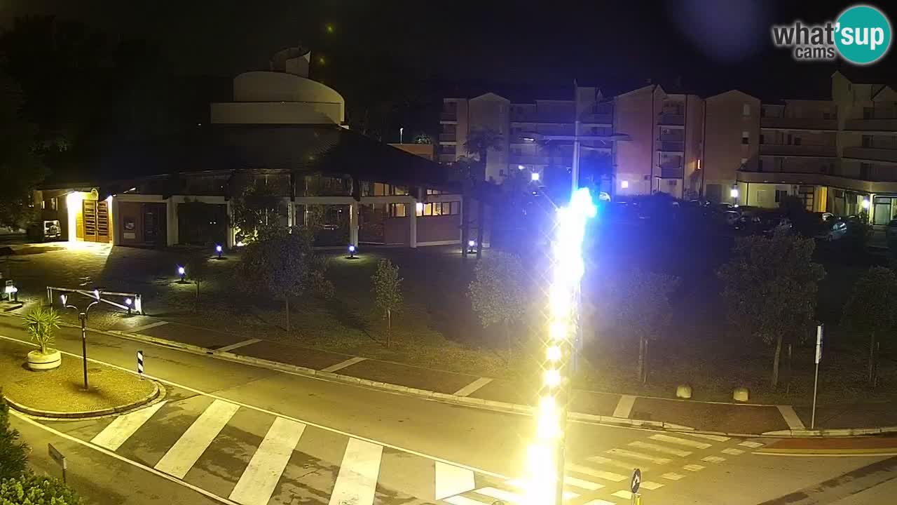Livecam Rosolina mare
