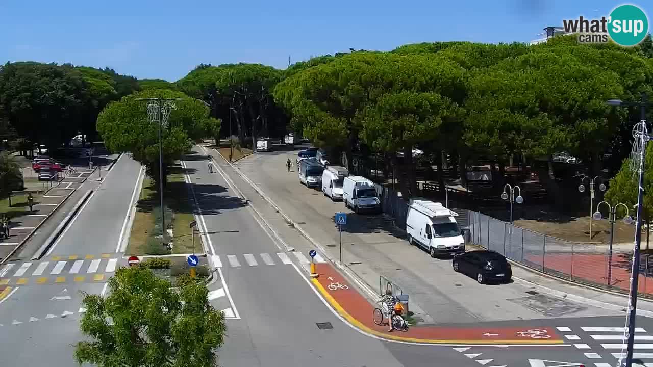 Camera en vivo Rosolina mare