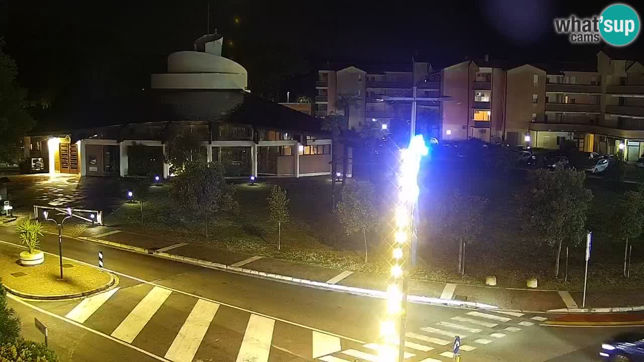 Camera en vivo Rosolina mare