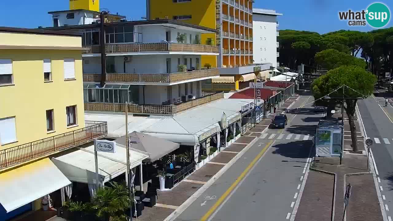 Camera en vivo Rosolina mare