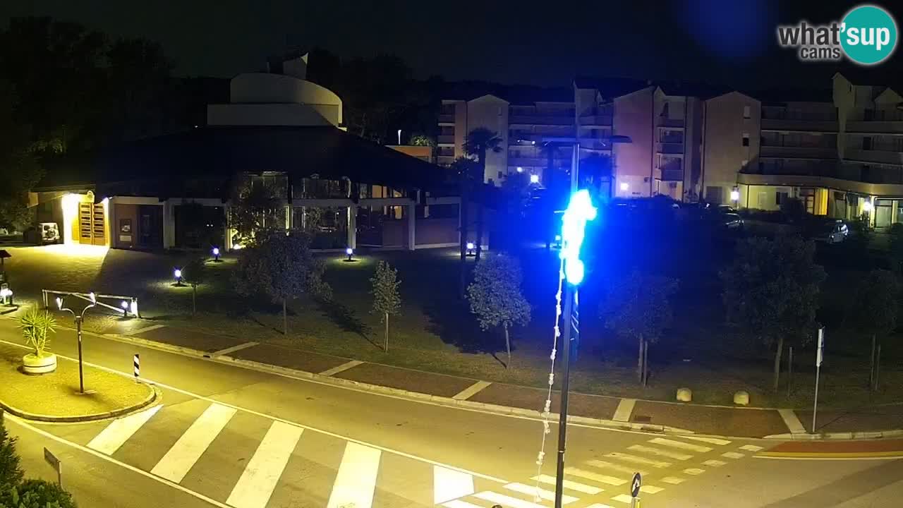 Camera en vivo Rosolina mare
