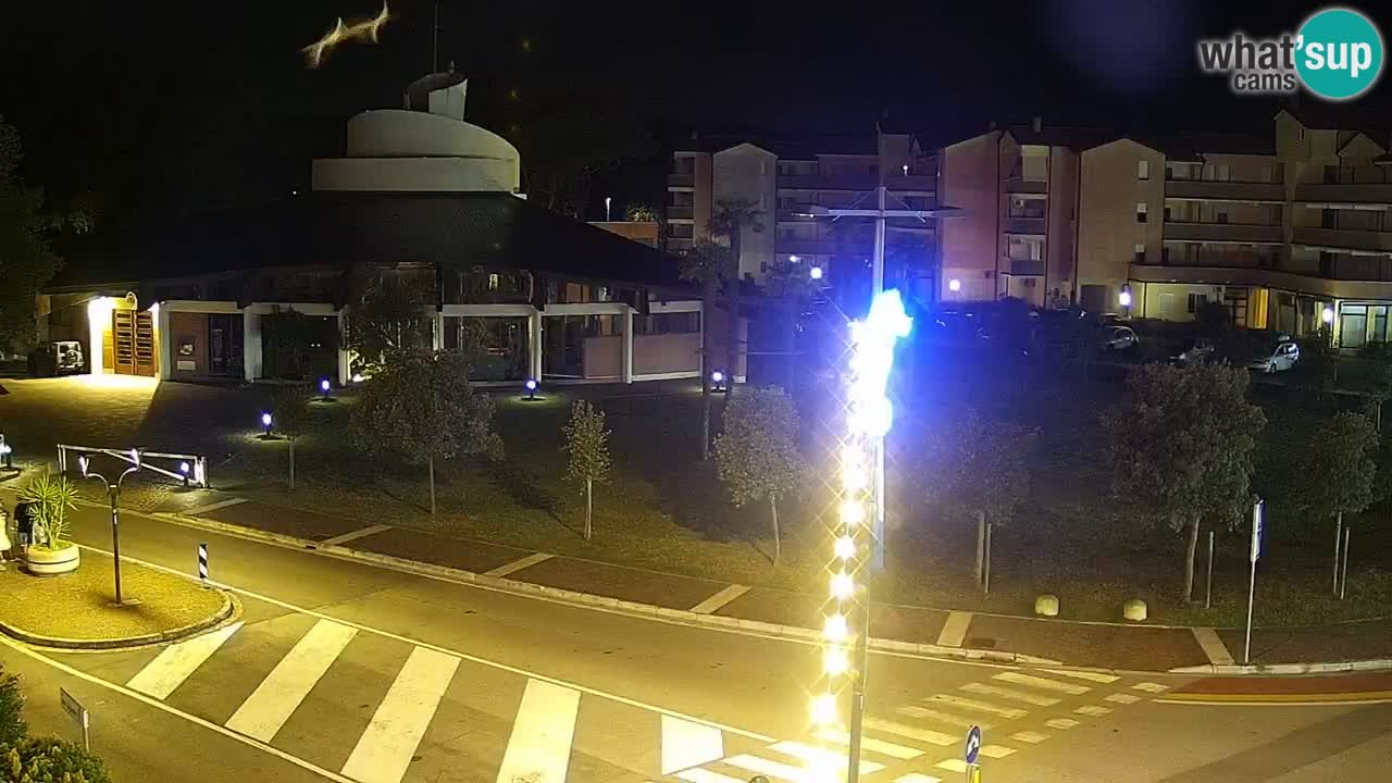 Camera en vivo Rosolina mare