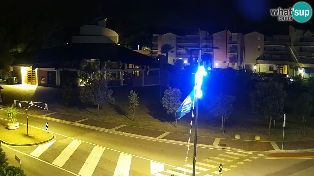 Livecam Rosolina mare
