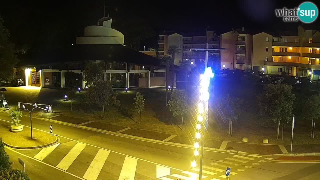 Camera en vivo Rosolina mare