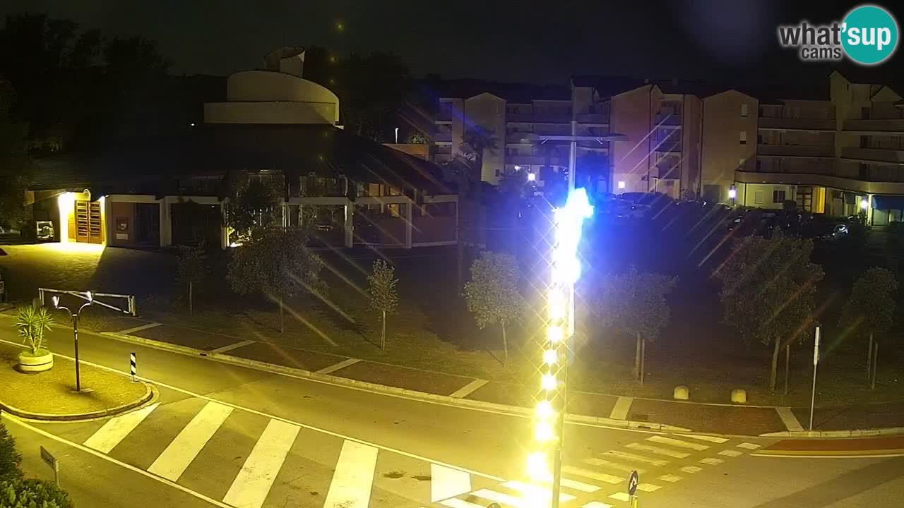 Camera en vivo Rosolina mare