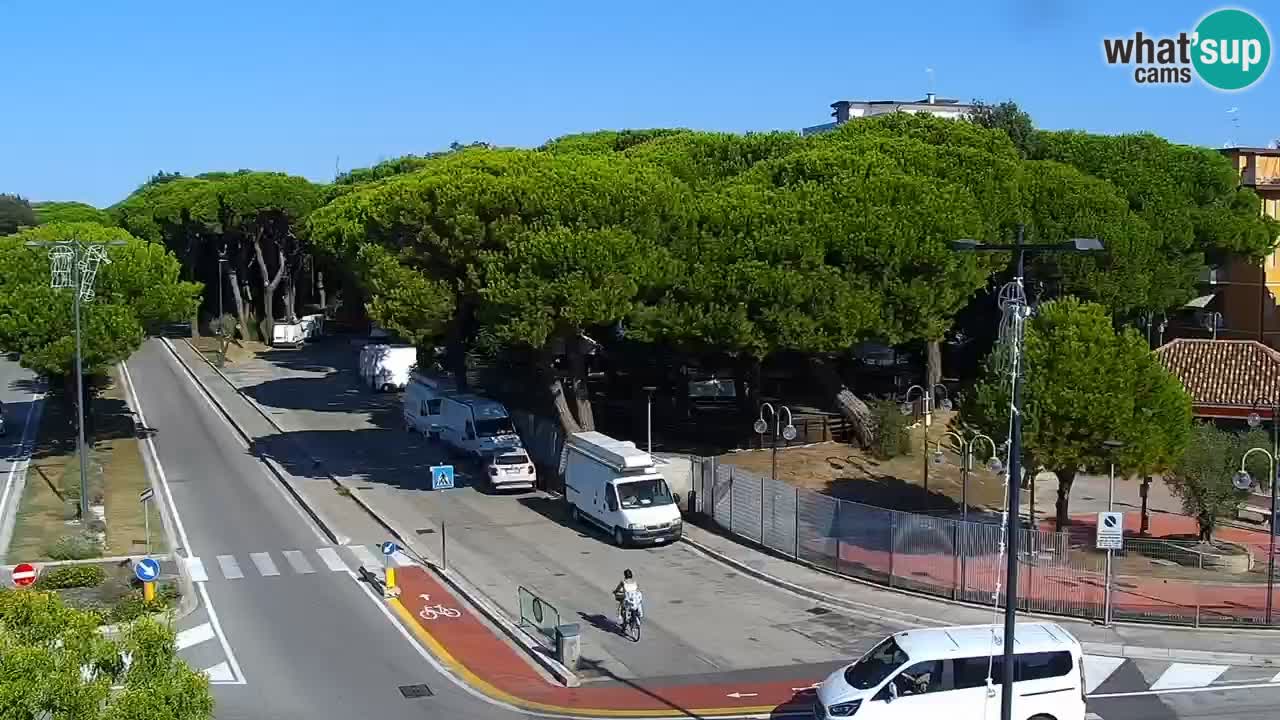 Livecam Rosolina mare