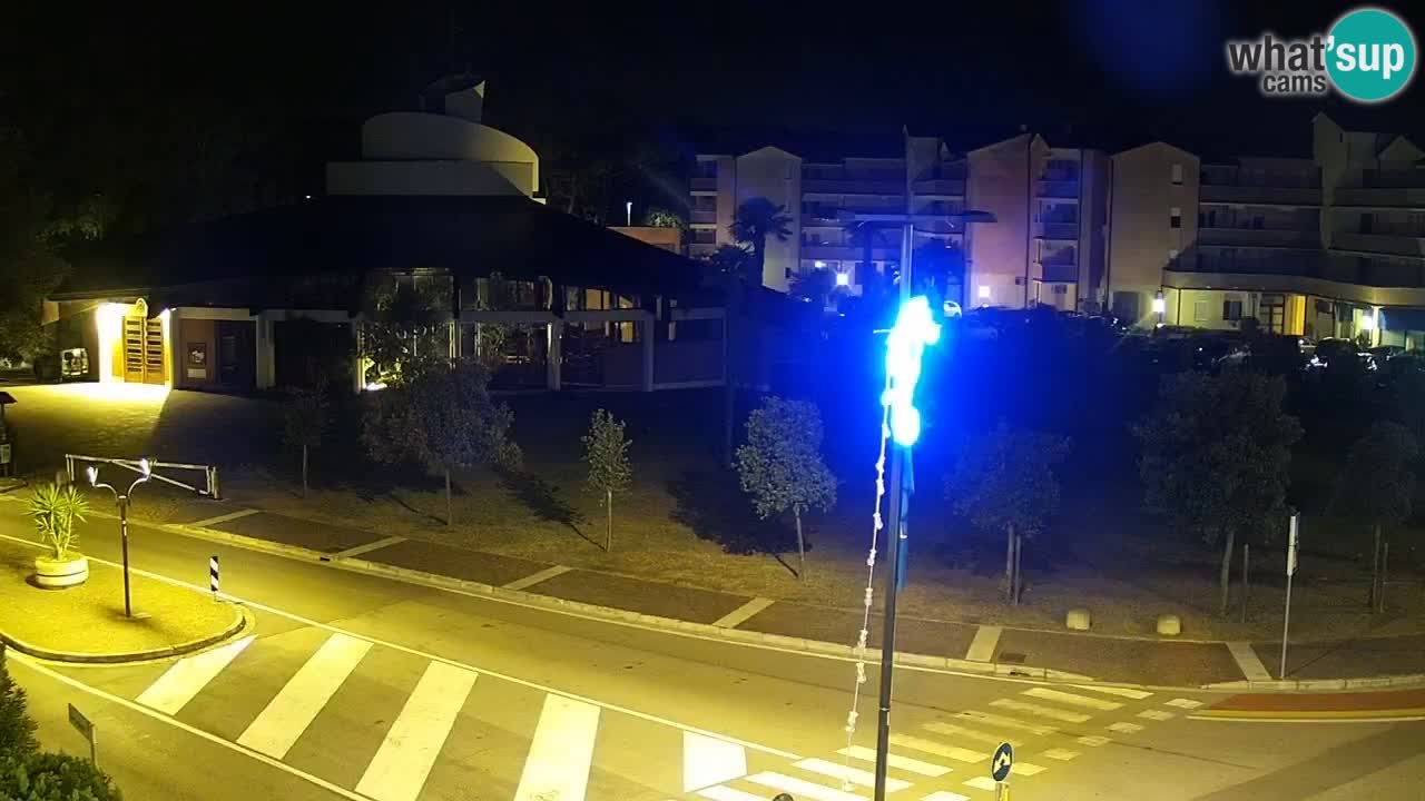 Livecam Rosolina mare