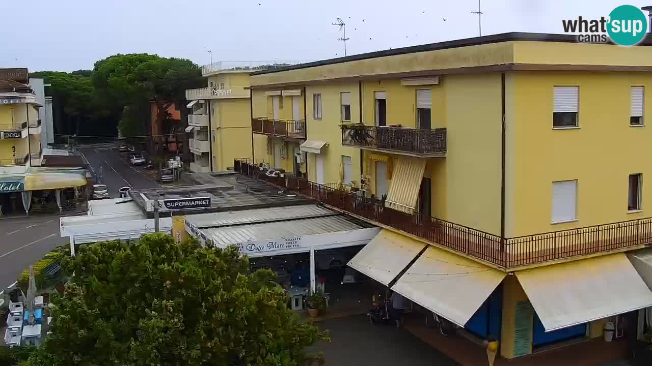 Camera en vivo Rosolina mare