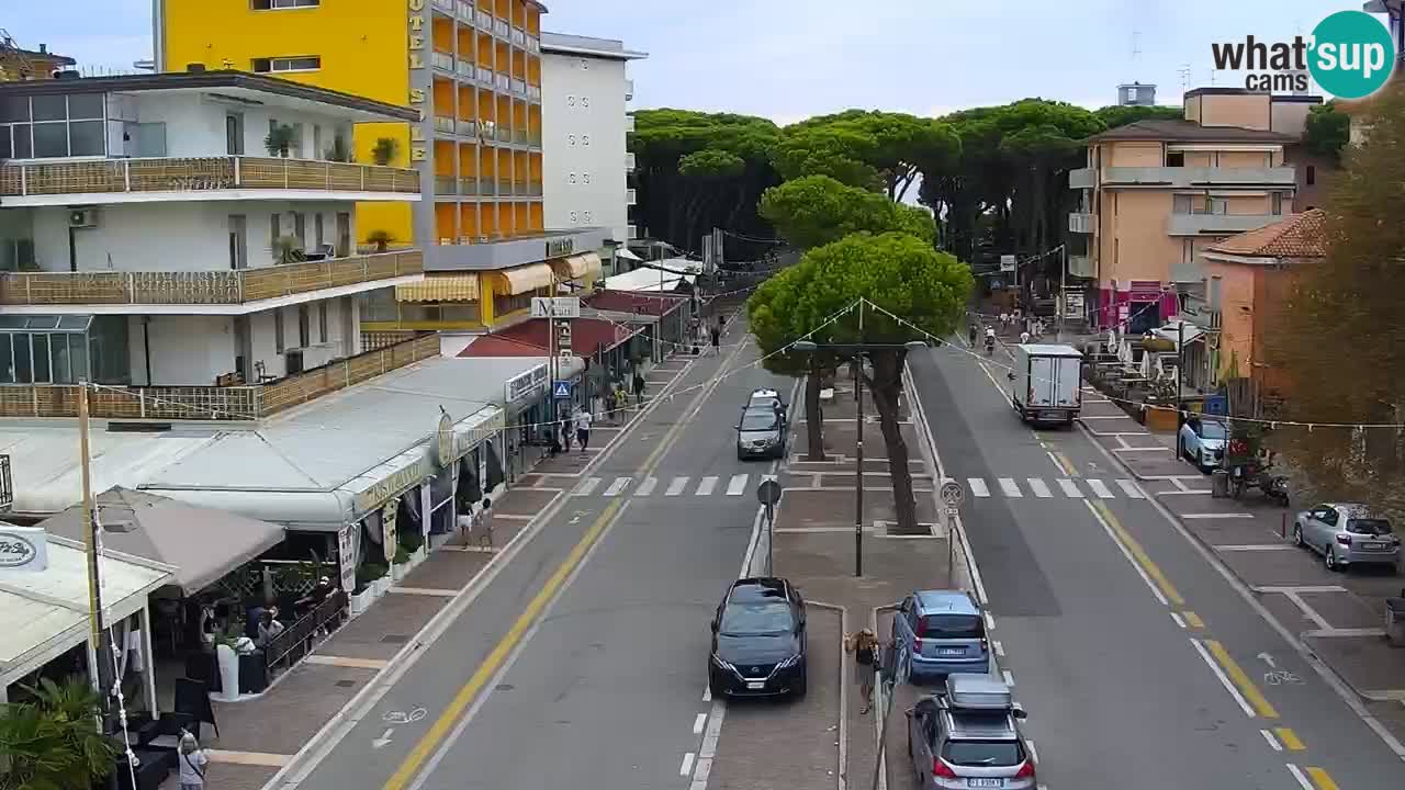 Camera en vivo Rosolina mare