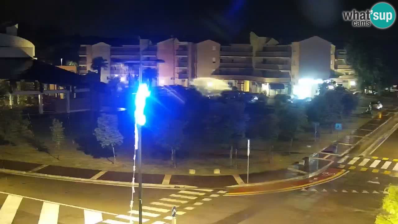 Camera en vivo Rosolina mare