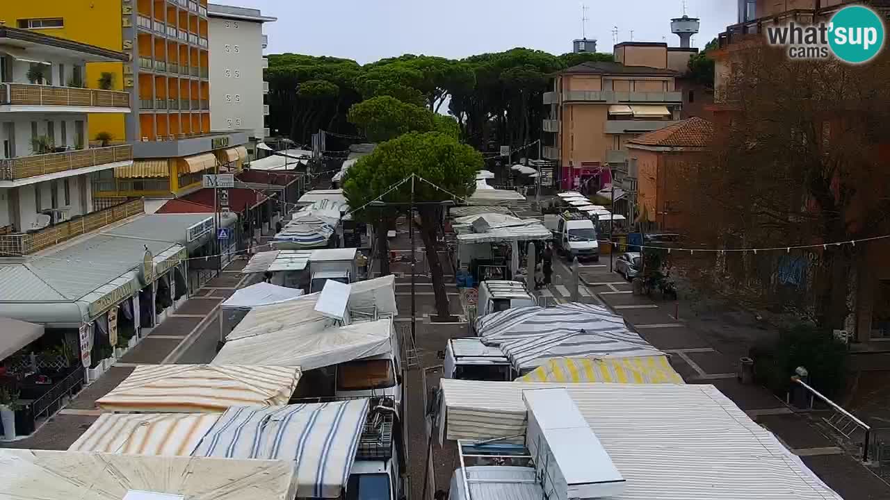 Camera en vivo Rosolina mare