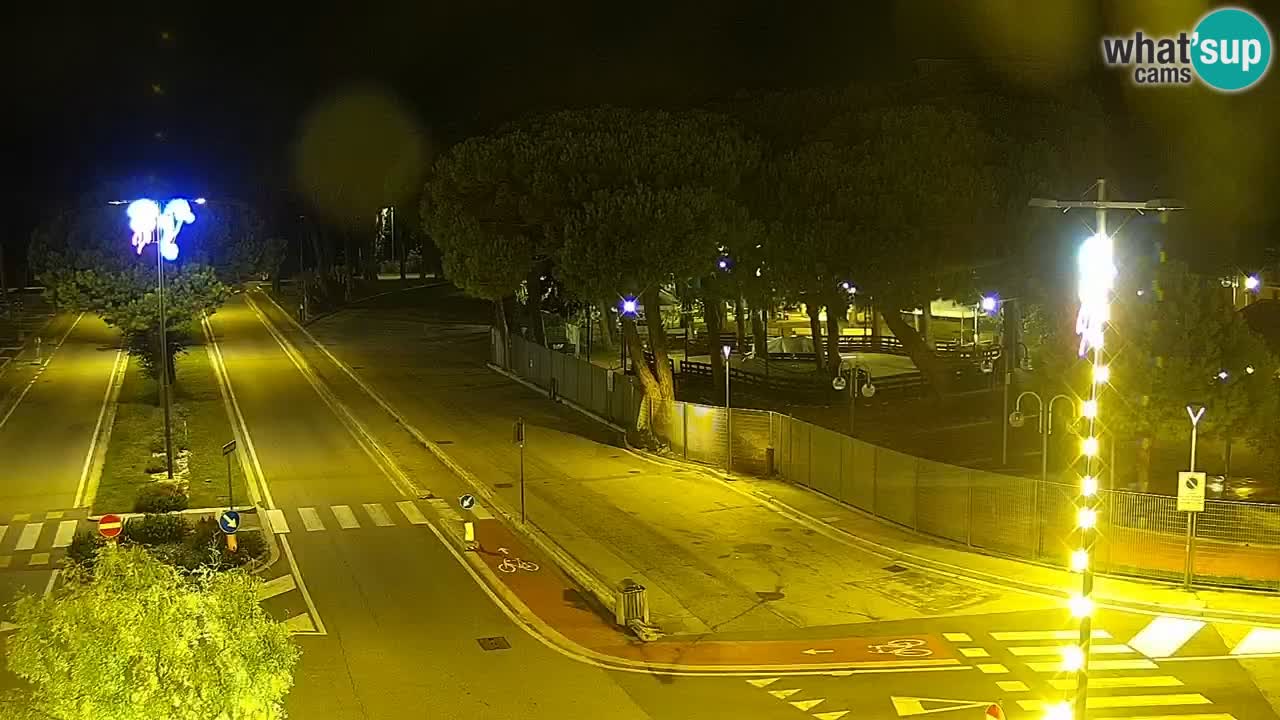 Camera en vivo Rosolina mare