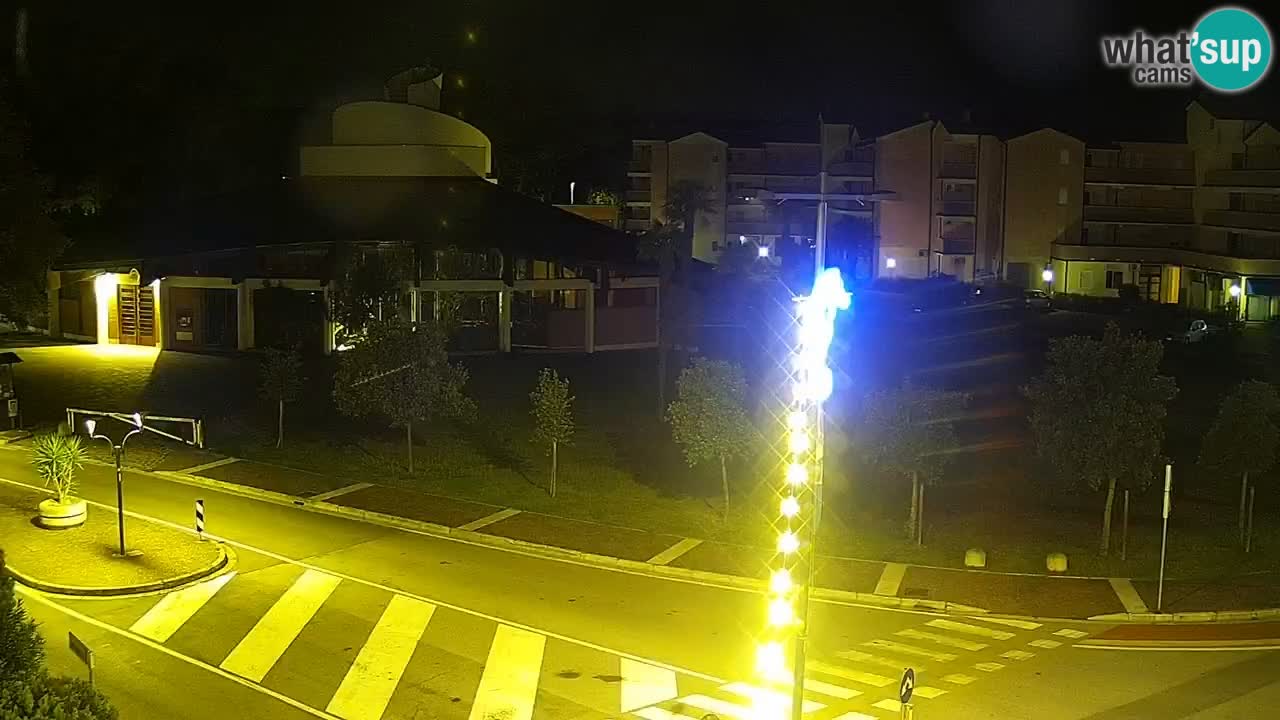 Camera en vivo Rosolina mare