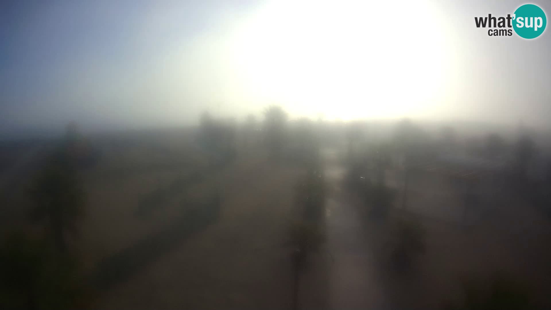 U živo Bagno Primavera Beach – Piazzale Europa Rosolina Mare