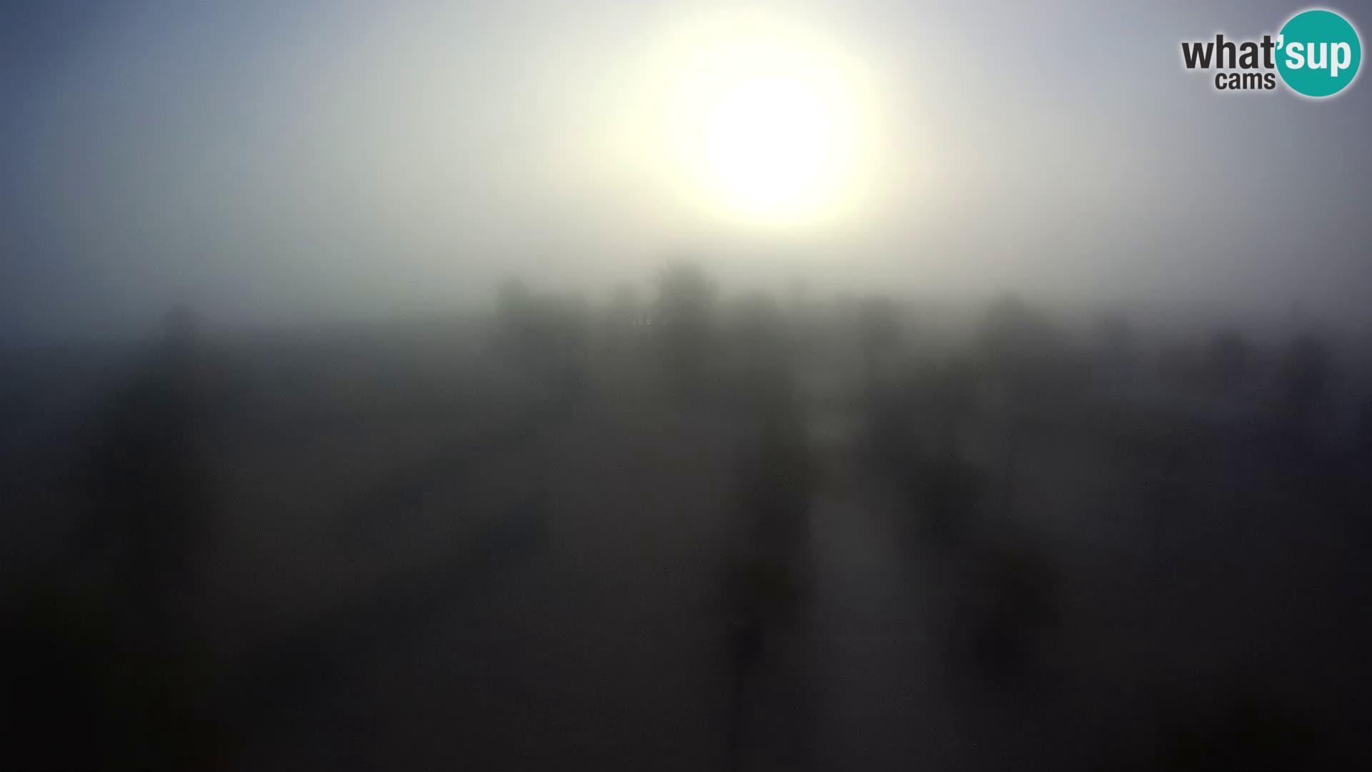 U živo Bagno Primavera Beach – Piazzale Europa Rosolina Mare