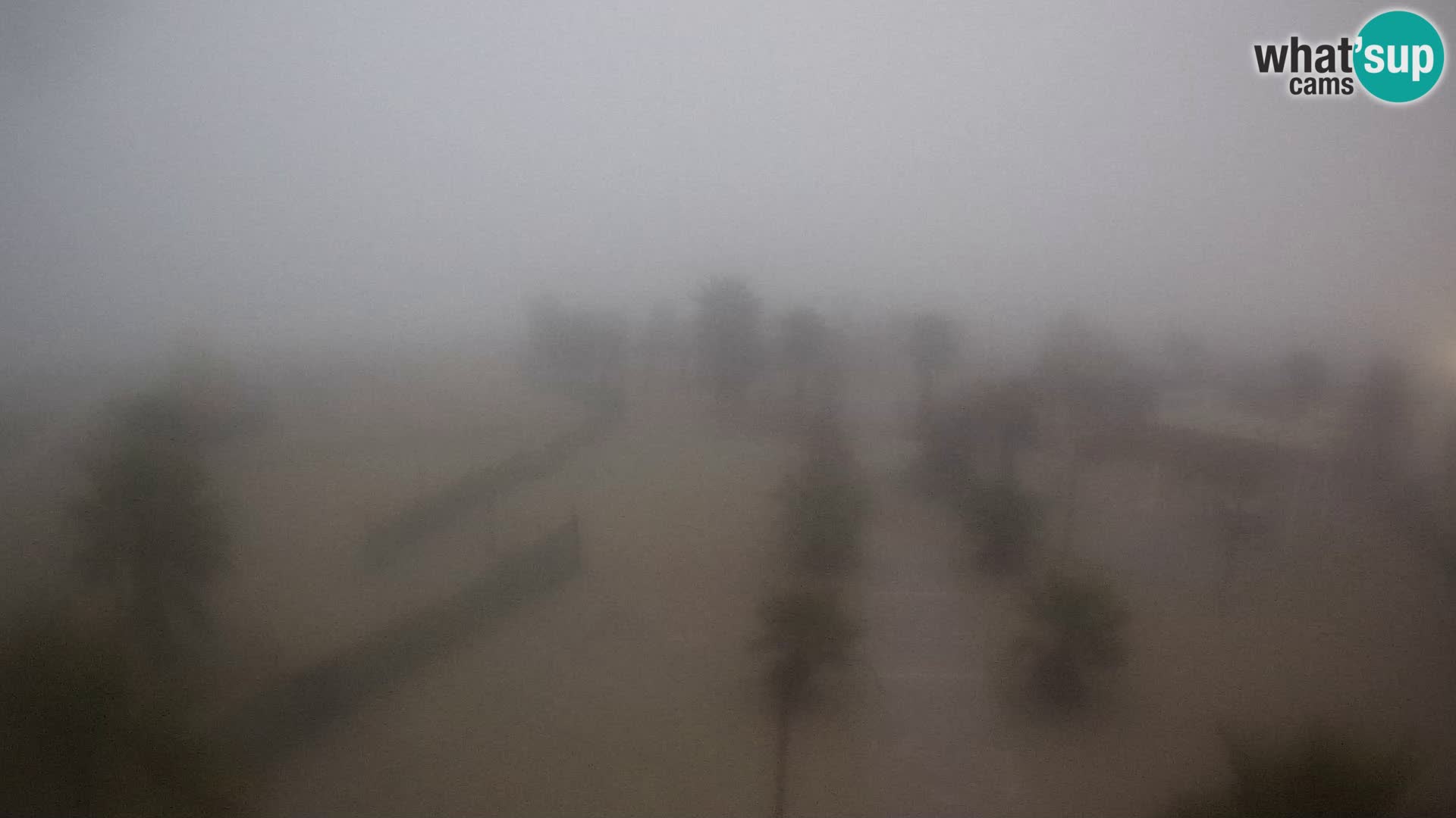 Live Bagno Primavera Beach – Piazzale Europa Rosolina Mare webcam