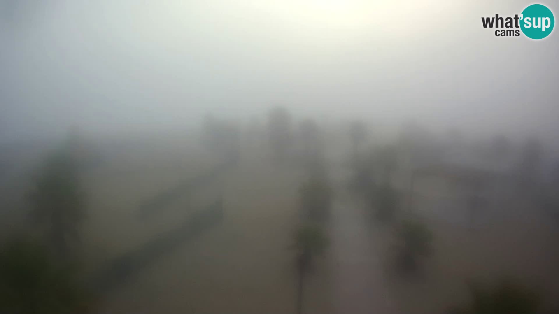 U živo Bagno Primavera Beach – Piazzale Europa Rosolina Mare