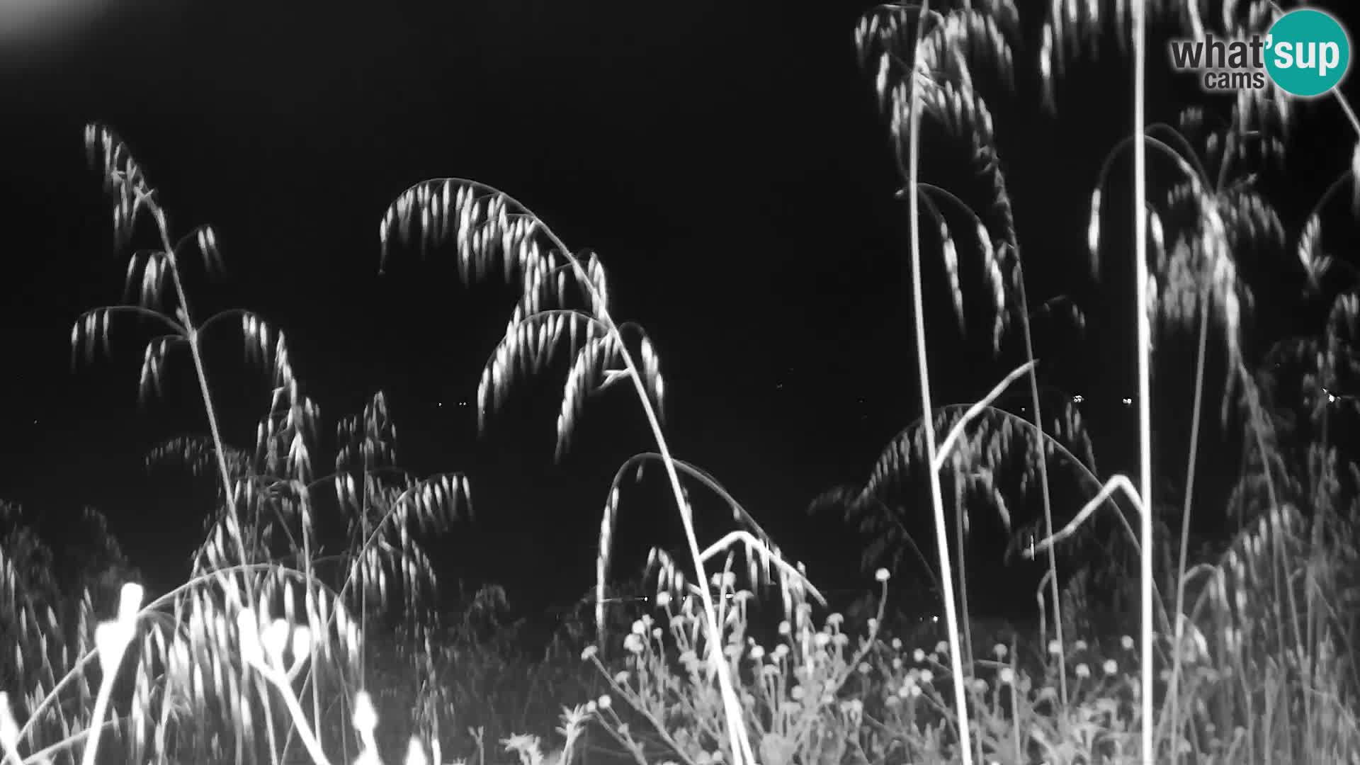 Webcam en direct Punta Trettu – San Giovanni Suergiu – Sardaigne