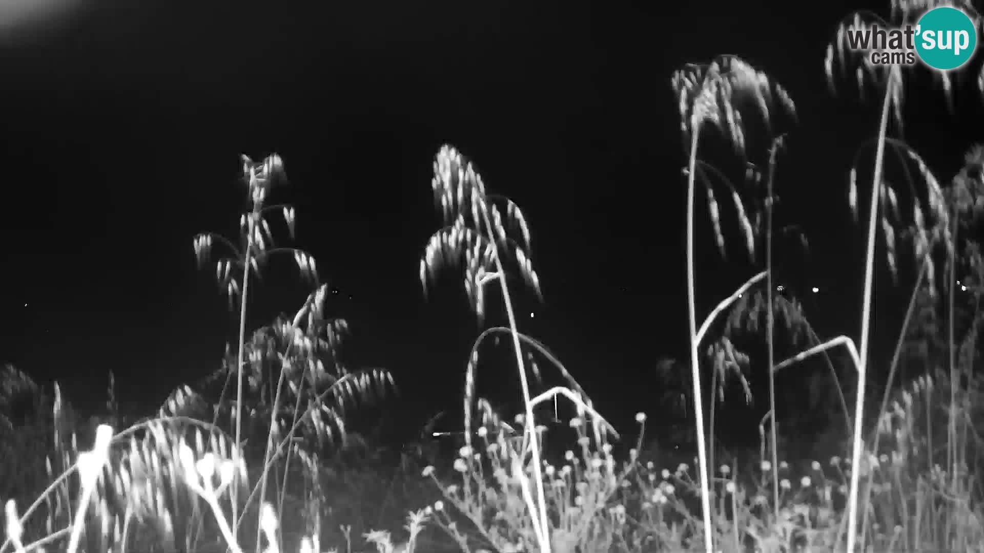 Camera en vivo Punta Trettu – San Giovanni Suergiu – Cerdeña