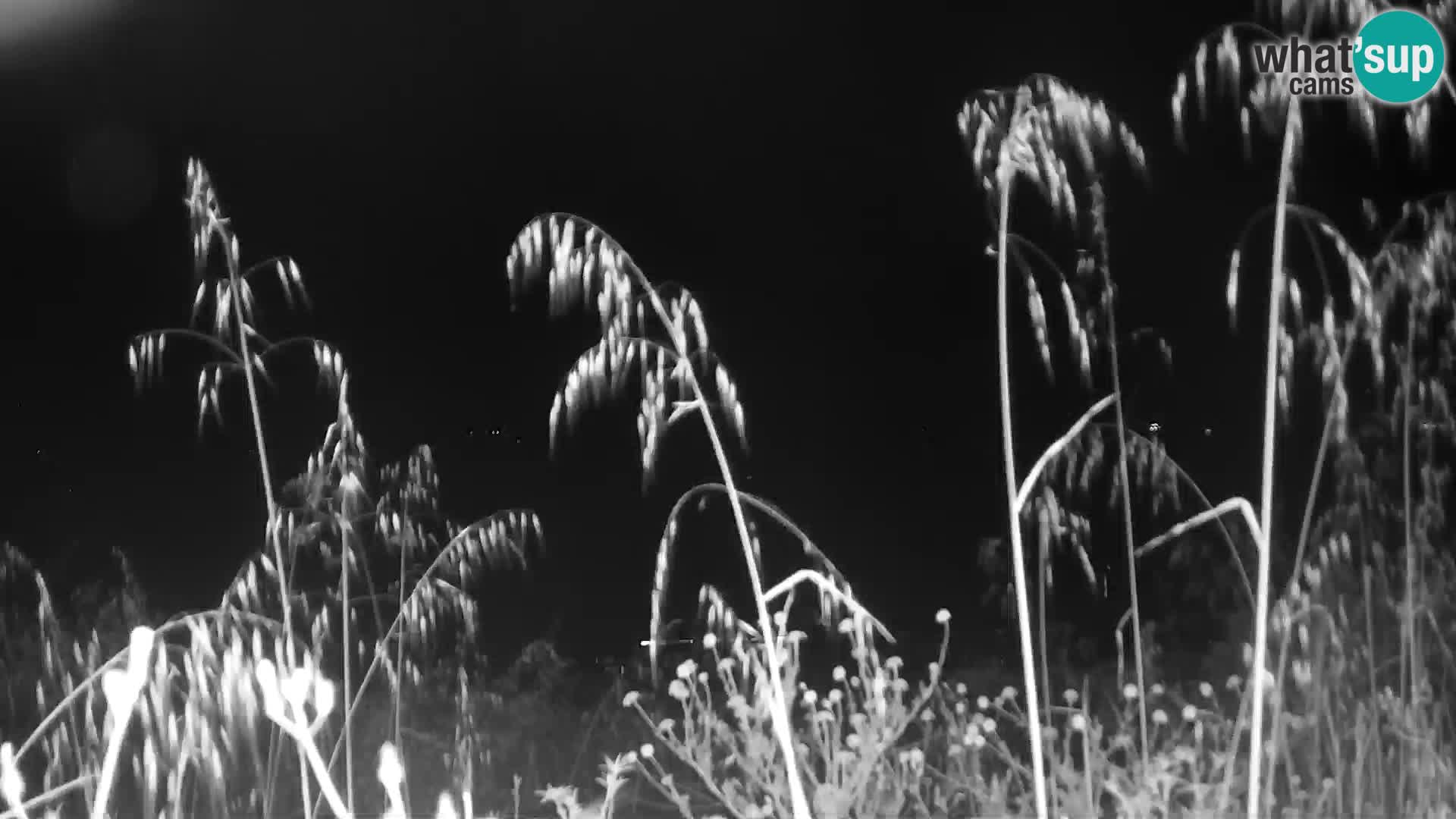 Camera en vivo Punta Trettu – San Giovanni Suergiu – Cerdeña