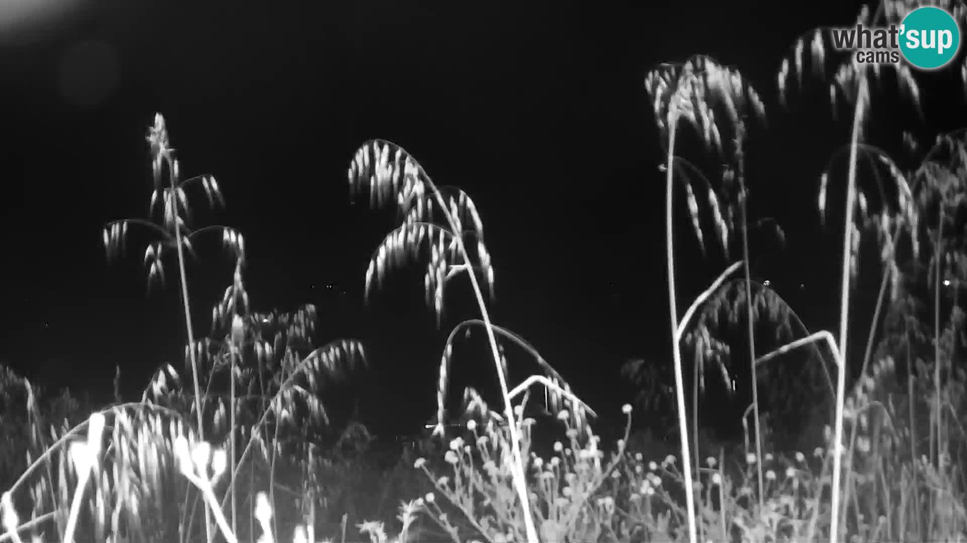 Live Webcam Punta Trettu – San Giovanni Suergiu – Sardinien