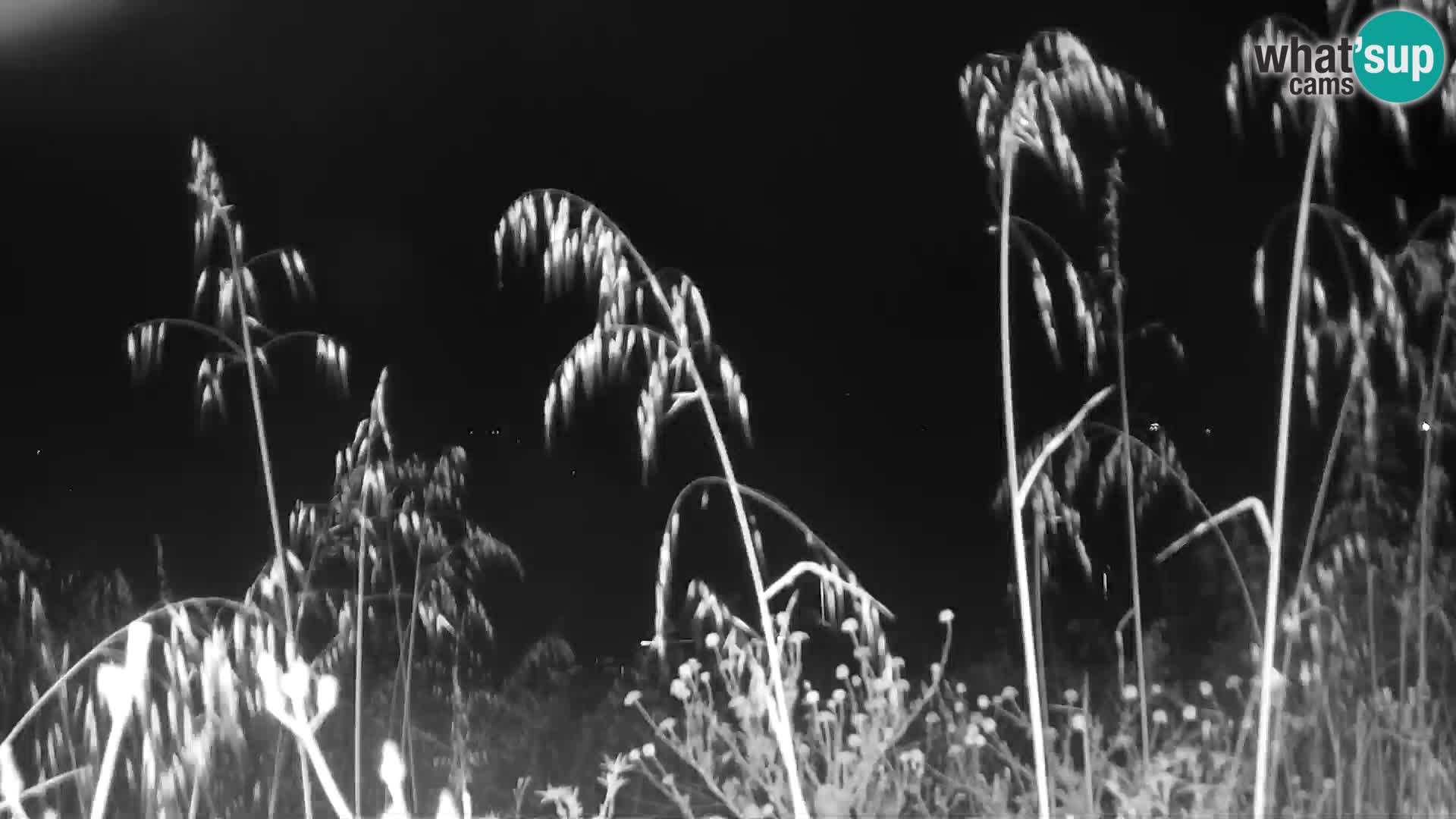 Web kamera uživo Punta Trettu – San Giovanni Suergiu – Sardinija