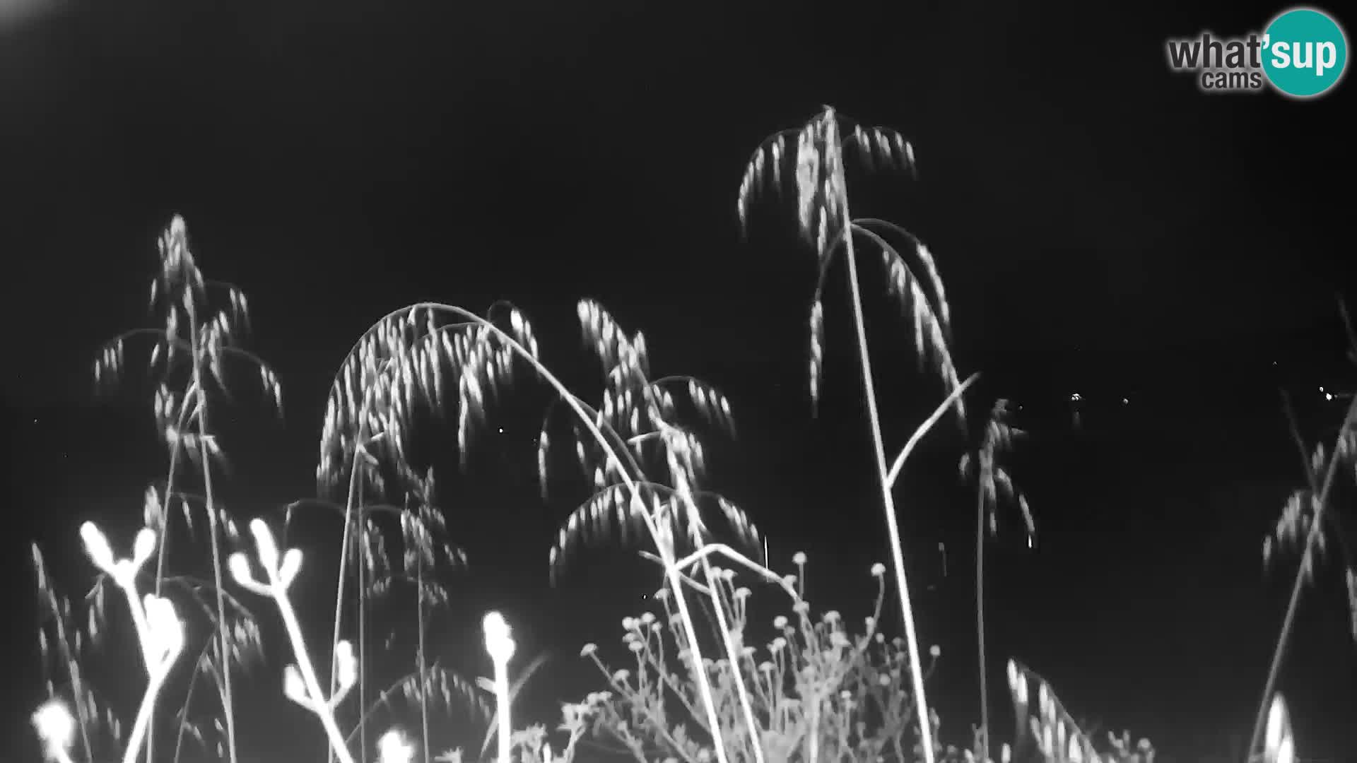 Web kamera uživo Punta Trettu – San Giovanni Suergiu – Sardinija