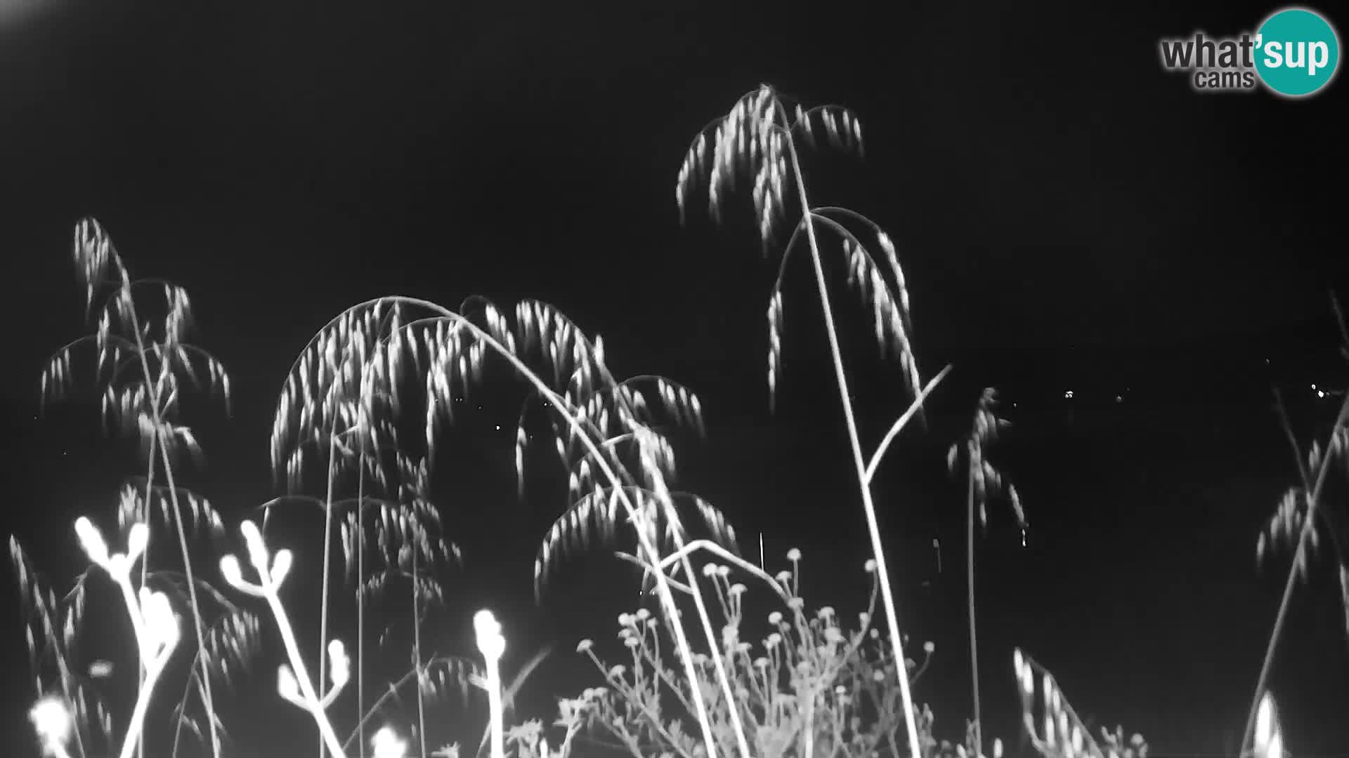 Live Webcam Punta Trettu – San Giovanni Suergiu – Sardinia