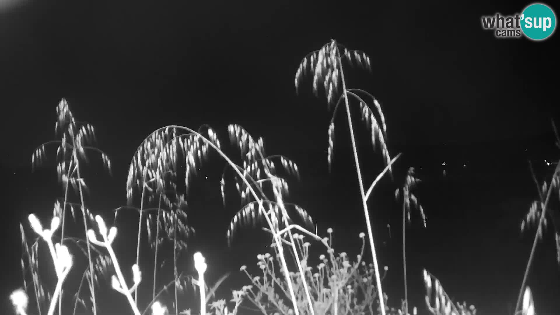 Camera en vivo Punta Trettu – San Giovanni Suergiu – Cerdeña