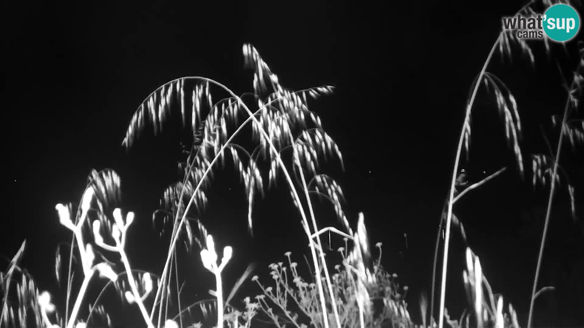 Camera en vivo Punta Trettu – San Giovanni Suergiu – Cerdeña