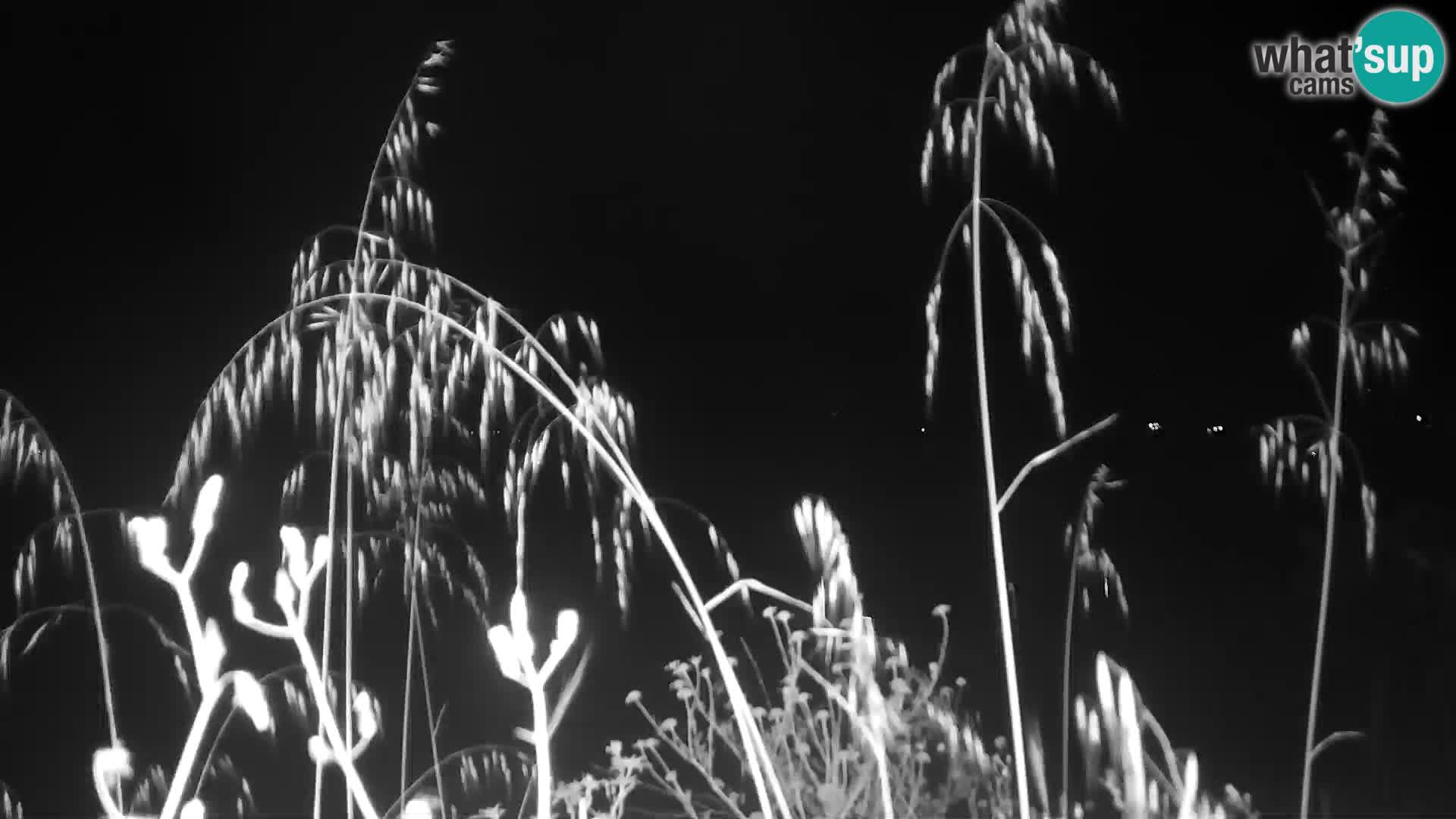Live Webcam Punta Trettu – San Giovanni Suergiu – Sardegna