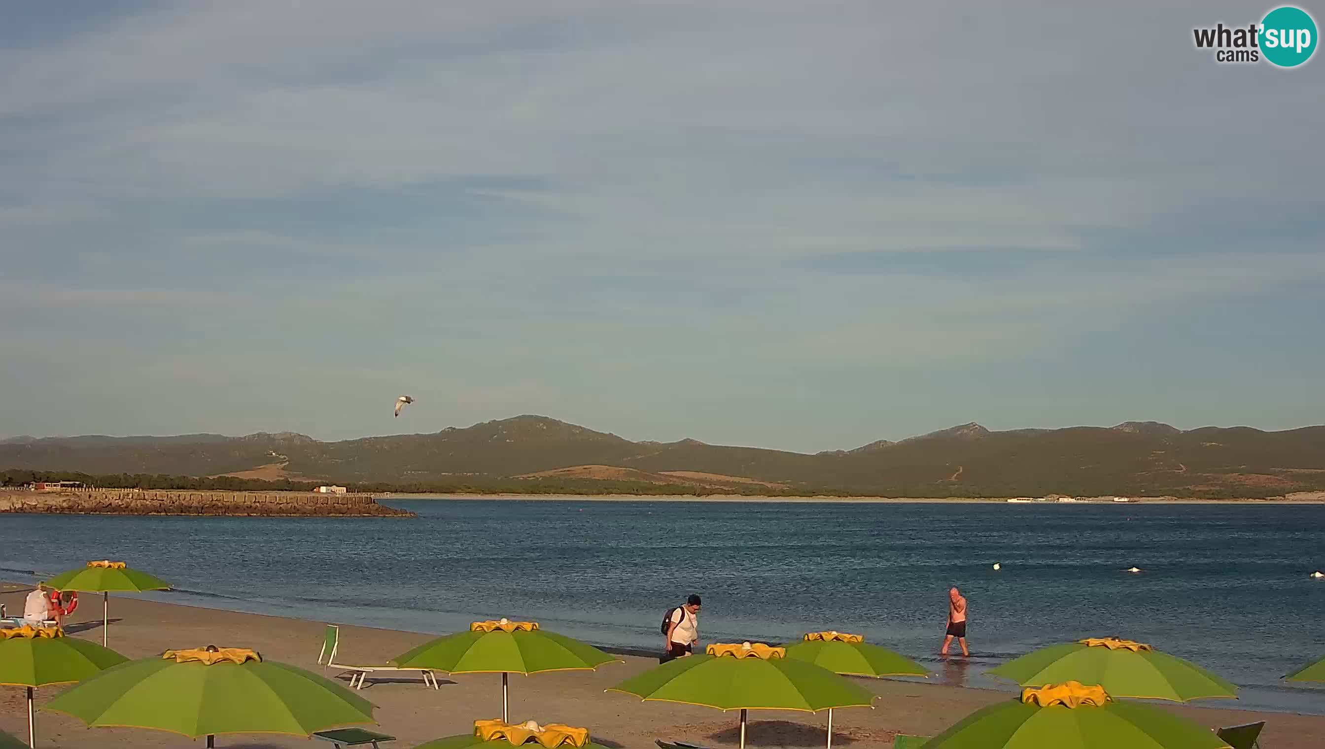 Webcam Porto Pino – Vue en direct depuis Sant’Anna Arresi