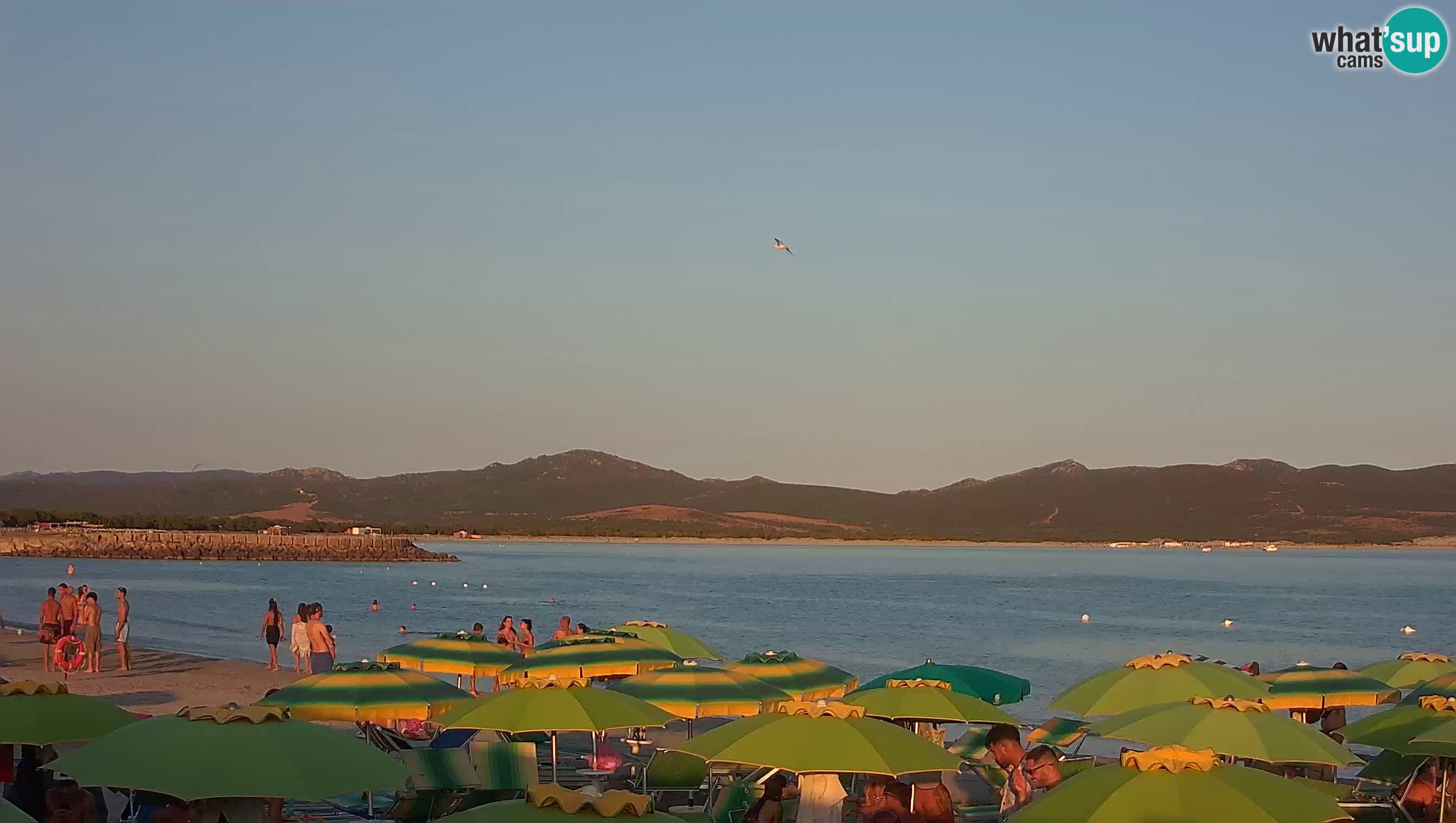 Webcam Porto Pino – Vue en direct depuis Sant’Anna Arresi