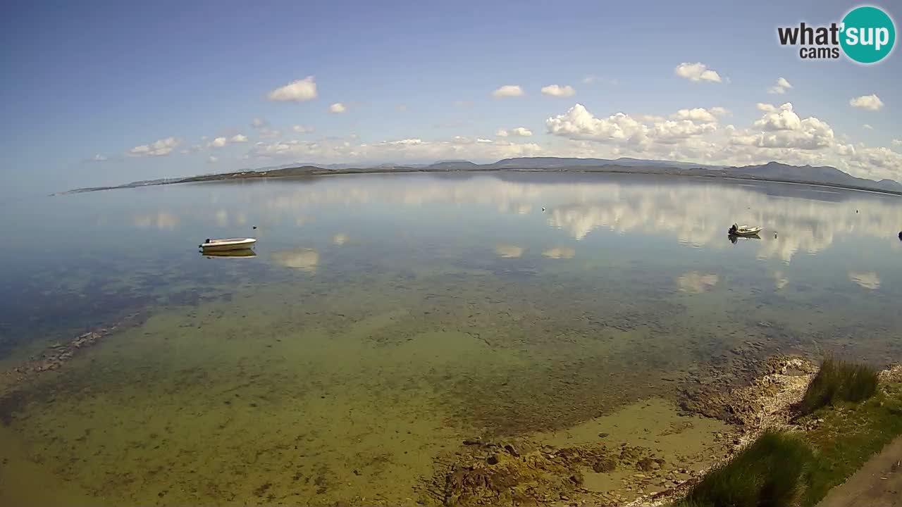Windsurfing Club Sa Barra Live Webcam Sant’Antioco – Sardegna