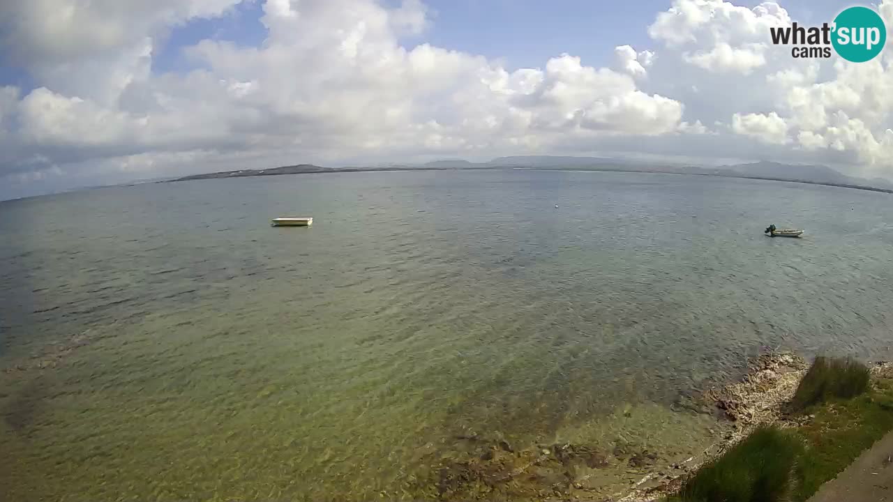 Windsurfing Club Sa Barra Live Webcam Sant’Antioco – Sardegna