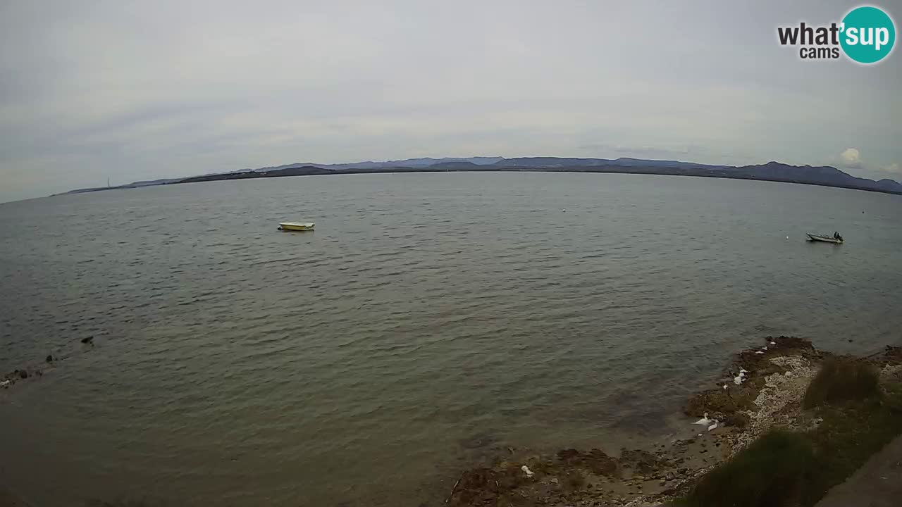 Windsurfing Club Sa Barra Webcam live Sant’Antioco – Sardinien – Italien