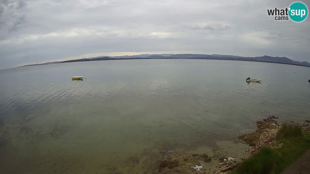 Windsurfing Club Sa Barra Live Webcam Sant’Antioco – Sardegna
