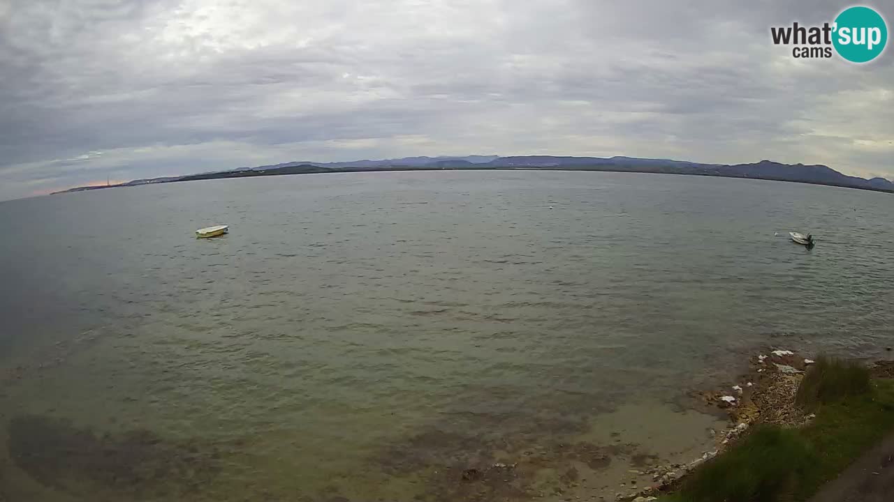 Windsurfing Club Sa Barra camera en vivo Sant’Antioco – Cerdeña – Italia