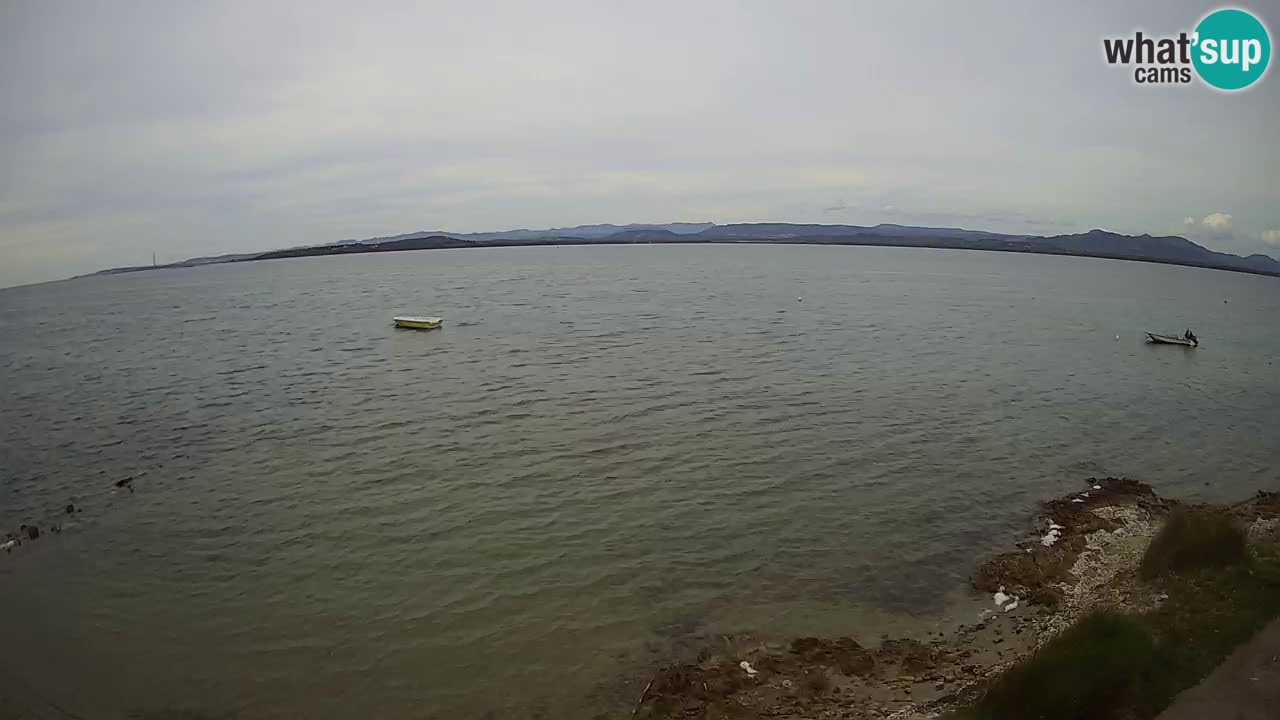 Windsurfing Club Sa Barra camera en vivo Sant’Antioco – Cerdeña – Italia