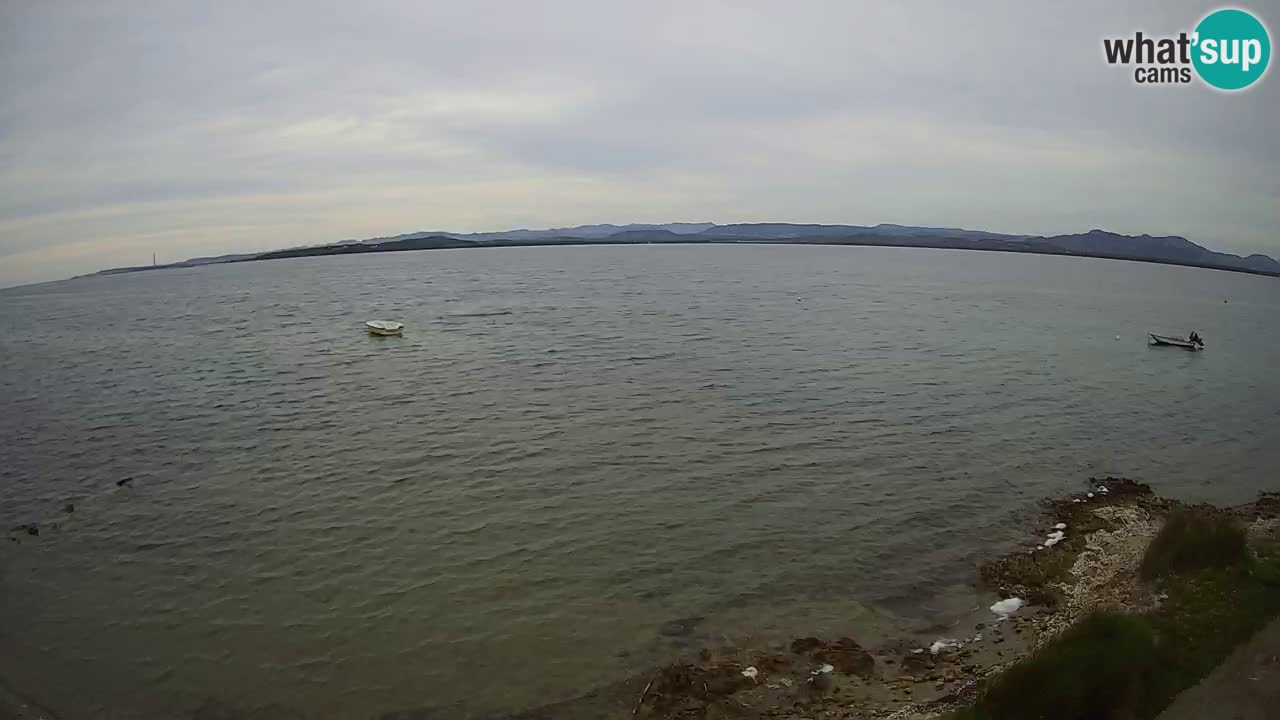 Windsurfing Club Sa Barra Live Webcam Sant’Antioco – Sardegna