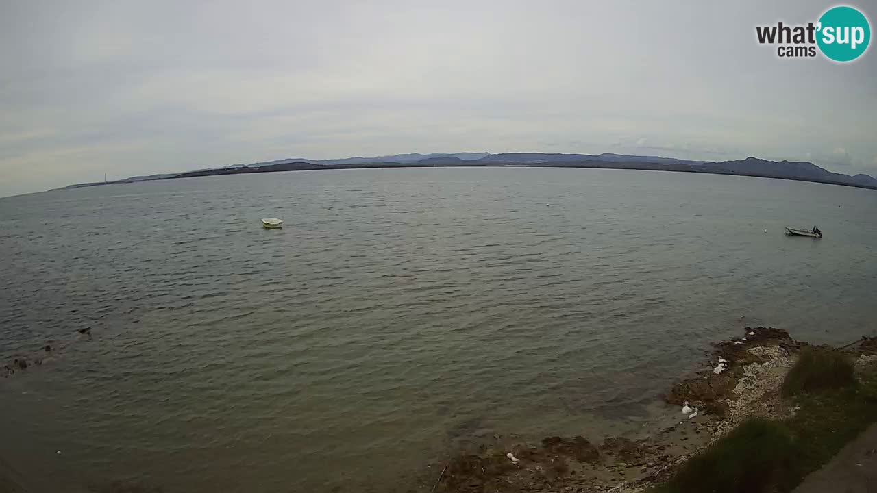 Windsurfing Club Sa Barra camera en vivo Sant’Antioco – Cerdeña – Italia