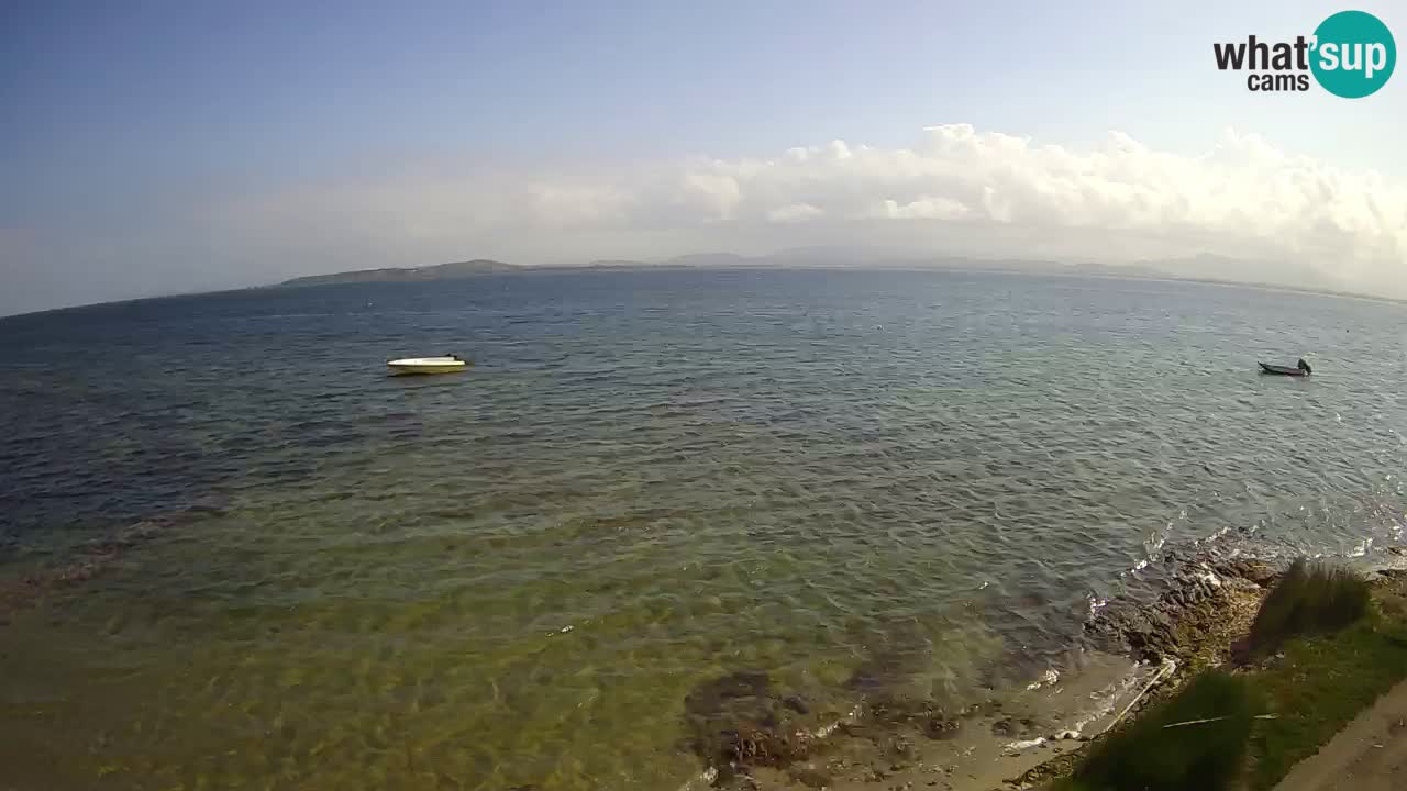 Windsurfing Club Sa Barra Live Webcam Sant’Antioco – Sardegna