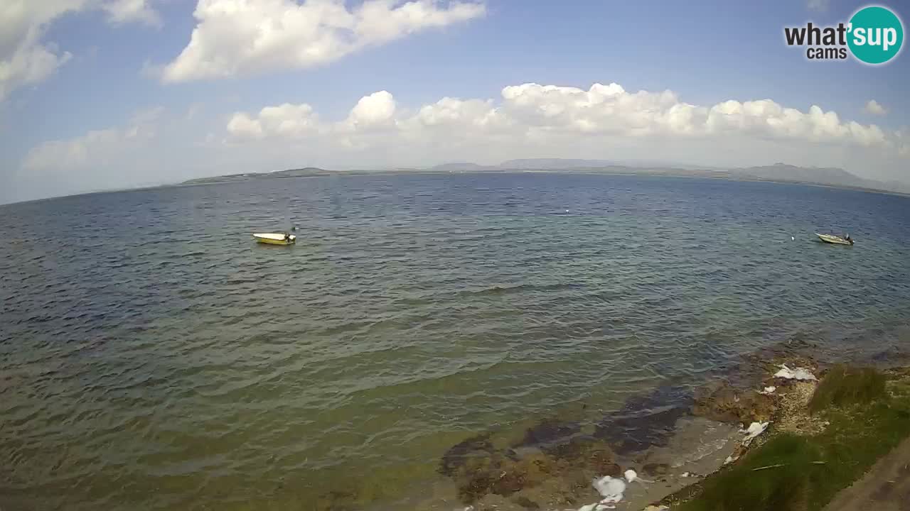 Windsurfing Club Sa Barra Live Webcam Sant’Antioco – Sardegna