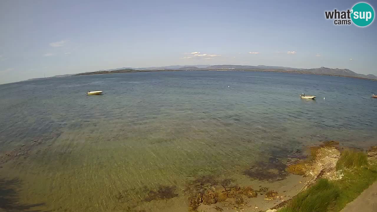 Windsurfing Club Sa Barra livecam Sant’Antioco – Sardaigne – Italie