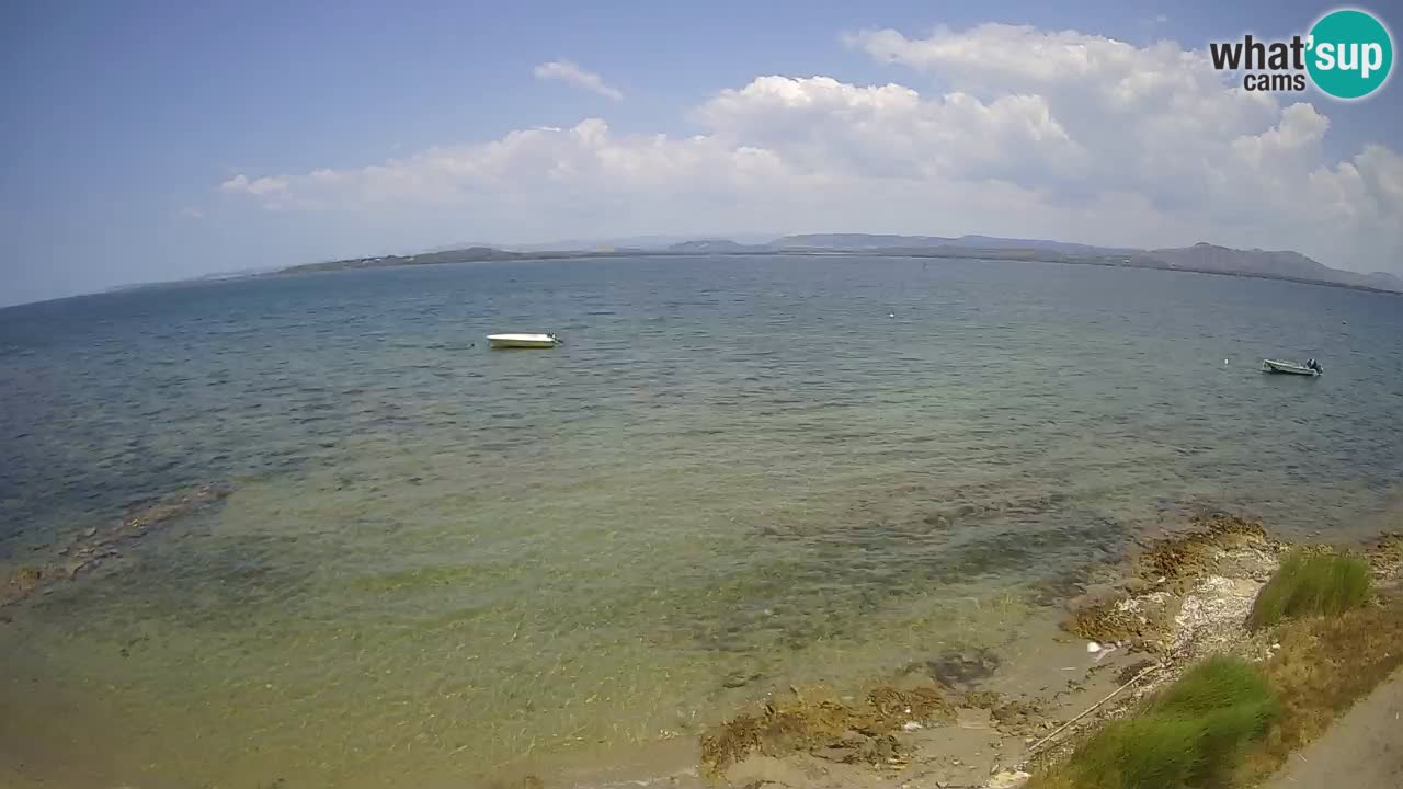 Windsurfing Club Sa Barra Live Webcam Sant’Antioco – Sardegna
