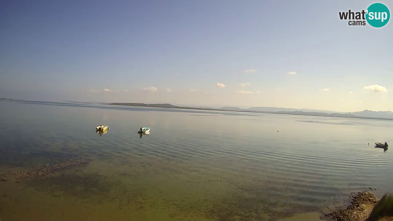Windsurfing Club Sa Barra Live Webcam Sant’Antioco – Sardegna