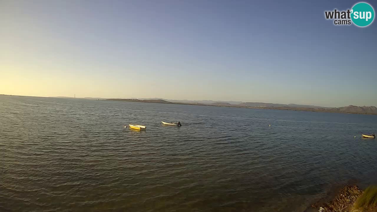Windsurfing Club Sa Barra camera en vivo Sant’Antioco – Cerdeña – Italia